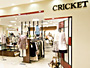 cricket-s.jpg