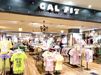 galfit.jpg