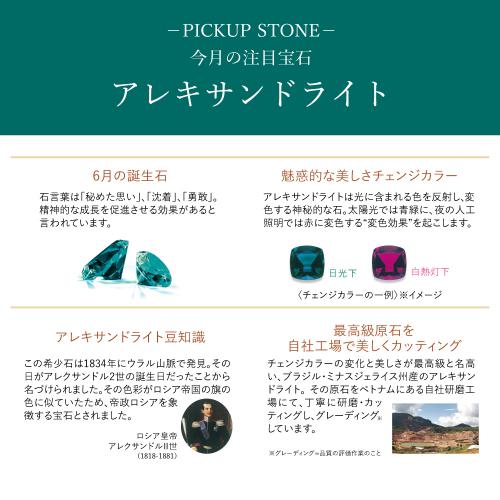 ピックアップ_WEBアレキ (2).jpg